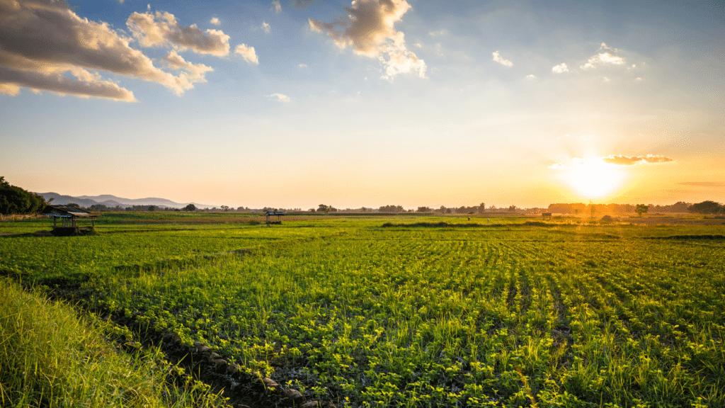 Protecting Your Vision on the Farm: Tips to find the Right Safety Glasses