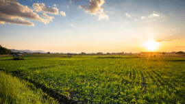 Protecting Your Vision on the Farm: Tips to find the Right Safety Glasses
